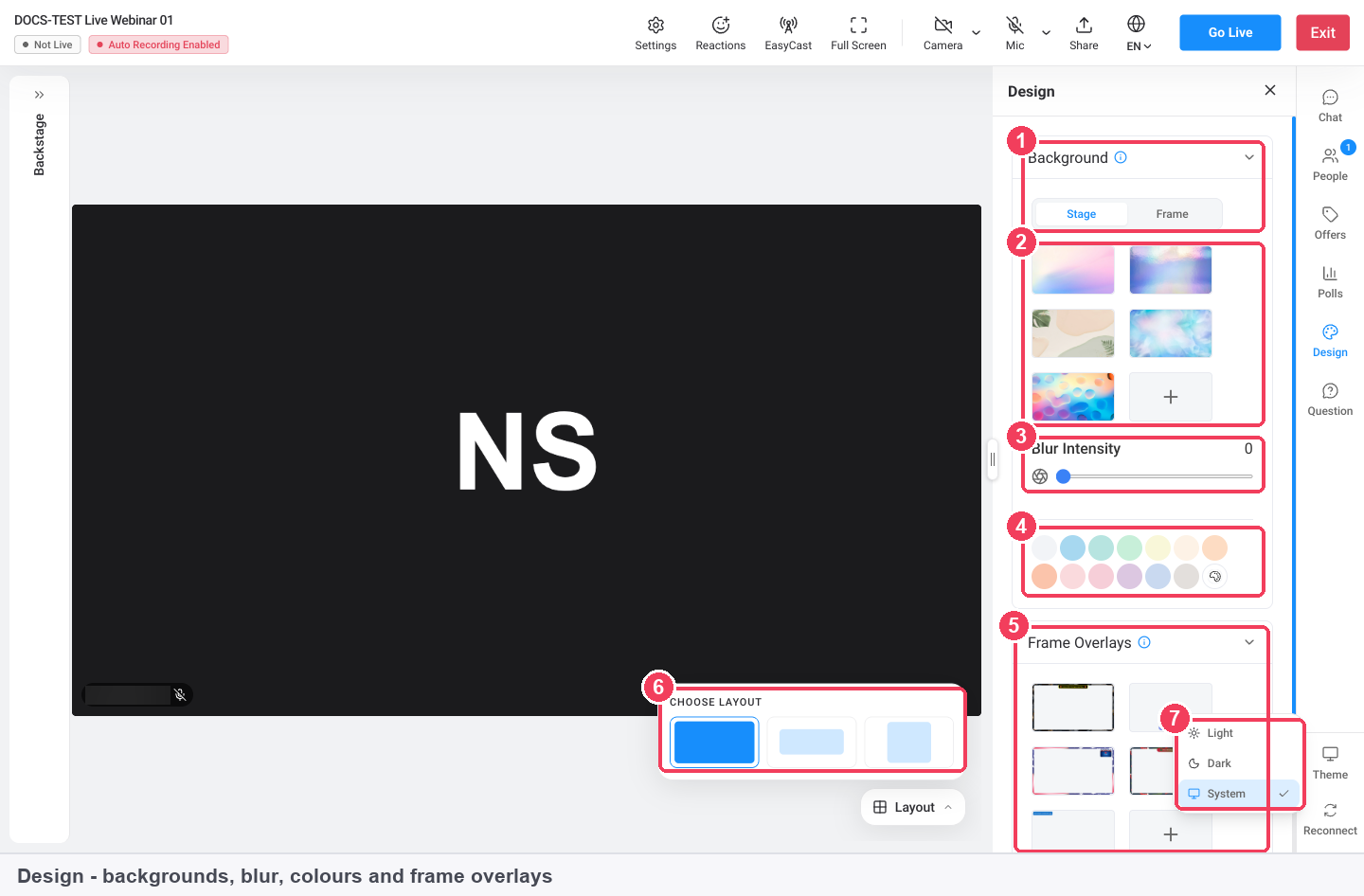The Design panel with Stage and Frame tabs, background presets, Blur Intensity, colours, Frame Overlays, Layout and Theme marked